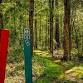 Morning Nature Hike event in Keithville, LA