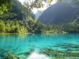 Browse anime pictures, photos, images, gifs, and videos related keyword: Nature Photos Nature Photos Jpg