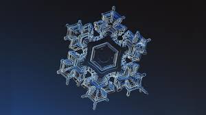Submitted 11 hours ago by managing snowflake deployments outside the technology (medium.com). Free Photo Snowflake Cold Flake Freeze Free Download Jooinn