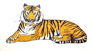 How to draw a lion for kids 🦁🧡💛💚lion drawing and coloring pages for kidsthese fun coloring pages and colorful creative kids are brought to you by dootls. How To Draw Lion Vs Tiger Wild Animals Color Pages For Kids