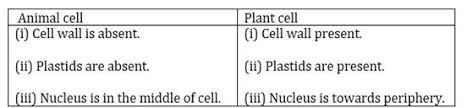 Vacuoles are present in abundance. Ncert Solutions For Class 8 Science Cell Structure And Functions