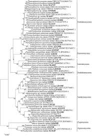 Wikidata:wikiproject sum of all paintings/catalog/corneille de la haye dit corneille de lyon. Frontiers Chemically Mediated Interactions Between Macroalgae Their Fungal Endophytes And Protistan Pathogens Microbiology