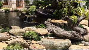 Best Koi Pond Garden Design 2017 Garden Design Koi Pond Koi
