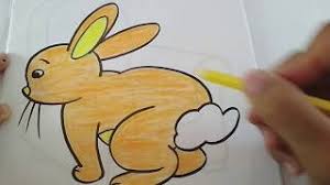 Check spelling or type a new query. Cara Mewarnai Gambar Kelinci Imut How To Draw Coloring Rabbit Youtube