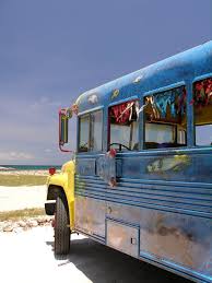 Image result for Bussea