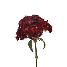 Pin On Wedding Flowers