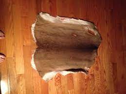 Add to favorites more colors brown bear skin rug. Deer Skin Rug 5 Steps Instructables