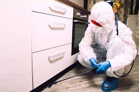 Commercial Property Service