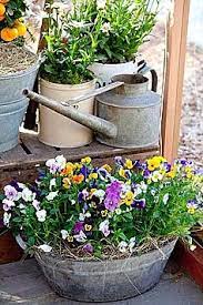 Pin On For The Garden