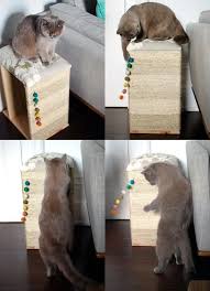 Due to my small apartment size i am stuck with the cat litter tray in the living room next to th. 20 Creative Ikea Hacks For Cats Craftsy Hacks