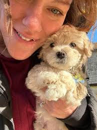 Hi all! I just wanted to introduce myself and share a photo I took