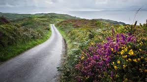 Galwegian in ottawa, currently in waterford. Ireland S Remote Islands Hope For A Tonic From Gin Financial Times