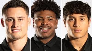 Braulio Araiza's Instagram, Twitter & Facebook