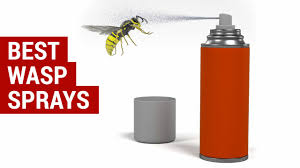 With the best wasp spray available at hand, you can quickly get rid of the wasps without undergoing the agonizing appearance hornets are basically large wasps with species going up to 5.5 cm in length. Best Wasp Spray Reviews Best Products For Killing Wasps And Hornets