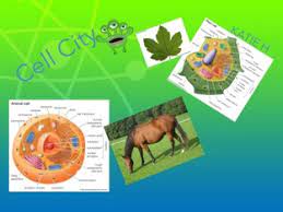 Is there an online game for cell structure? Cell City Free Games Online For Kids In Nursery By H2 Kaha