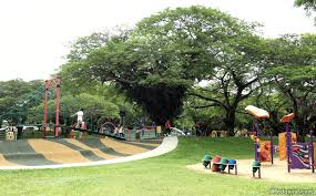 Pasir ris town park with a huge fishing pond in the middle of the park. 9 Reasons Why Pasir Ris Park Is Awesome For A Day Of Exploration Little Day Out