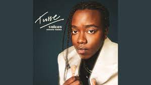 You know we got a million choices so. Sweden S Tusse To Have Minor Voice Operation Ahead Of Eurovision 2021