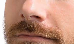 Faux Nose Septum Fake Nose Hoop Gold Septum Faux Septum Ring Gold Nose Ring Fake Nose Ring Thin Septum Septum Piercing Men Jewelry In 2021 Faux Septum Ring Fake Nose Faux Septum