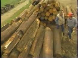 There are 276 telephone poles for sale on etsy, and they cost nz$22.54 on average. Recycled Lumber Using Old Telephone Poles Youtube