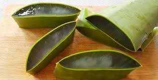 Que Faire Avec Votre Aloe Vera Recettes Maison Et Bienfaits Avec Images Recette Aloe Vera Creme Visage Aloe Vera Aloe Vera Visage