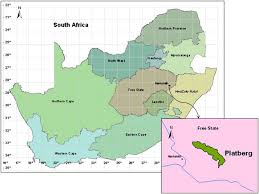 Image result for Ascolepis capensis