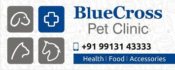 Blue cross pet clinic opening hours. Bluecross Pet Clinic Home Facebook