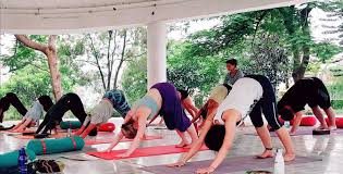 best yoga teacher in rishikesh