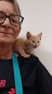 Golf cart taken by someone without permission