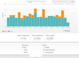 Fitbit Calories And Fitdigits Fitdigits Support