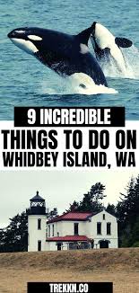 9 Awesome Things To Do On Whidbey Island Trekkn For The Love Of Rving In 2020 Whidbey Island Pacific Northwest Travel Whidbey Island Washington