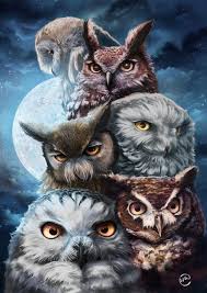 What Is A Group Of Owls Called It S Not A Flock Because Owls Don T Flock Hahaha I Can T Remember Owl Artwork Owl Pictures Owl Wallpaper