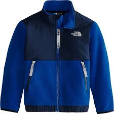 the north face denali fleece jacket toddler boys in 2019