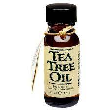 Magickal Embers Tea Tree Oil For Acne Tea Tree Oil Uses Tea Tree