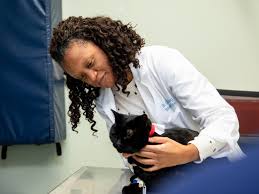We are staffed with emergency veterinarians 24 hours / 7 days a week to provide your pet with comprehensive care when they need it most. Specialty Emergency Vet In Huntersville Huntersville Specialty Vet