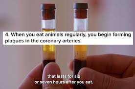 I say this because i really enjoyed it and think it the rest that i remember was fantastic so i'd really like to recommend this, but haven't been able to find any fact checking source for the movie, has. The Game Changers On Netflix Might Make You Want To Go Vegan Here Are 13 Things I Learned Watching It