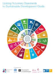 Since 2000, impressive advancements have been made on many health fronts. Linking Voluntary Standards To Sustainable Development Goals Sdg Business Hub