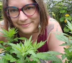 Who We Are — Mental Health Counselors of Greater Rochester