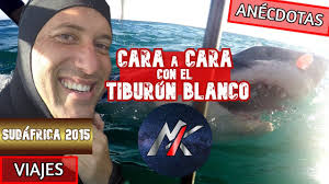 🌍 En la JAULA con TIBURONES (sharks) 🦈 Sudáfrica 2015 🇿🇦 ANÉCDOTAS 💬  [África]