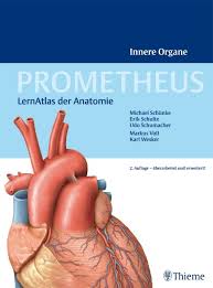 Die anatomie des menschen der menschliche körper stellt ein anatomisches gesamtkunstwerk von äußerster komplexität dar. Prometheus Innere Organe Lernatlas Der Anatomie Schulte Erik Schumacher Buch Gebraucht Kaufen A02h9tgl01zzv