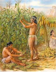 Agricultura