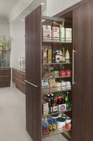 Small Kitchen Storage Organization Kitchenstorage Kitchenideas Decor Design Smallkitchen Interior Design Kitchen Contemporary Kitchen Kitchen Cabinet Storage