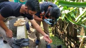 Oleh itu, penularan kes pembuangan bayi yang berlaku di negara kita ini perlu diatasi dengan segara oleh pihak berkenaan agar imej negara dan nama baik negara kita tidak terjejas. Geger Bayi Digondol Anjing Polisi Amankan Perempuan Muda Suara Jabar
