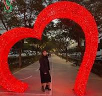 Wedding Supplies LED 3D Heart-Shaped Arch Light for Outdoor ...