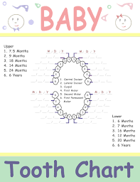 baby tooth chart printable kids and babys baby