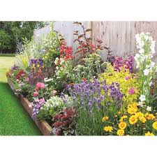 Find Bee And Butterfly Border Collection 5m X 60cm At Homebase Visit Your Local Store For In 2020 Cottage Garden Borders Flower Garden Borders Garden Border Plants