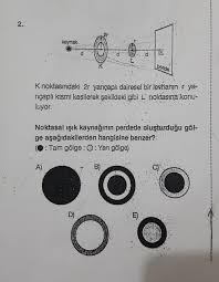 Gölge Soruları ve Cevapları, Soru Çözümü, Soru Bankası - Kunduz