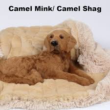 Susan Lanci 55 Large Dog Blankets At Glamour Mutt