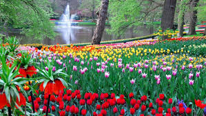 Decouvrez La Beaute Des Jardins Du Monde Jardins Du Monde Les Plus Beaux Jardins Jardin De Tulipes