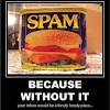 Is it bad to eat a whole can of spam? 1