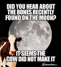 Did You Hear About The Bones Recently Found On The Moon It Seems The Cow Did Not Make It Smart Humor Nerdy Puns Funny Puns